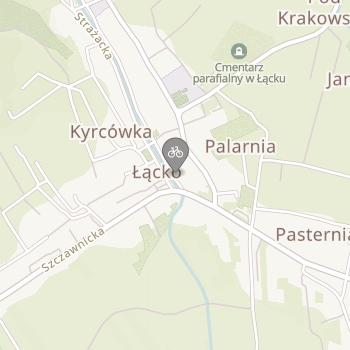 Firma Handlowa Pasoń, Qsi Sport na mapie